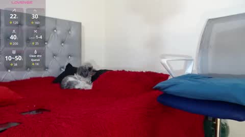 vinzent_lafed_ online show from October 5, 7:39 am