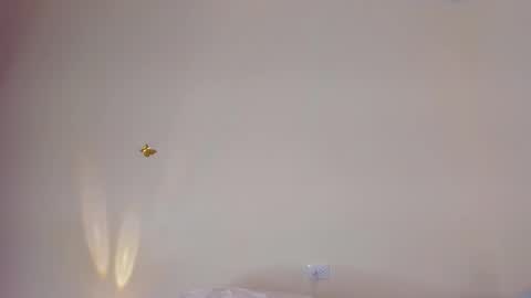 violett_24_ online show from November 29, 11:30 pm