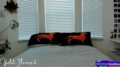 Violet Flowers online show from January 5, 6:13 pm