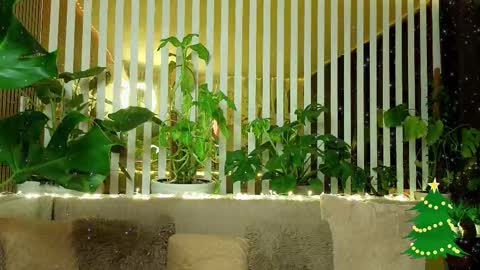 Violetta online show from January 7, 11:18 pm