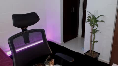 Lu online show from March 5, 12:27 am