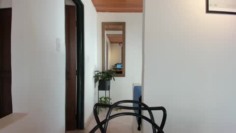 Vito Ferrer online show from February 7, 2:47 pm