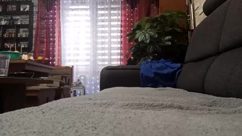 Snapshot of vlami69 chatting on November 30, 8:40 am vlami69 online show from November 30, 8:40 am