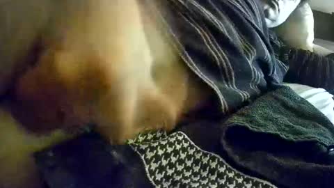 vleeslollie2024 online show from January 13, 7:21 am