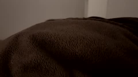 John online show from December 2, 2:53 am