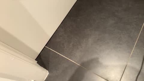 John online show from February 18, 2:06 pm