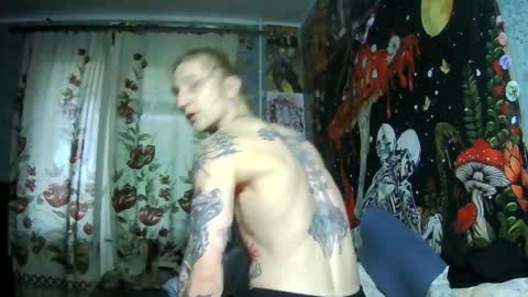 Snapshot of voldan_elf chatting on November 12, 3:45 pm Elf online show from November 12, 3:45 pm