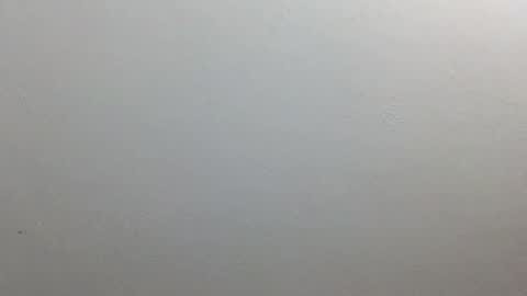 Snapshot of volentic chatting on October 9, 12:14 pm volentic online show from October 9, 12:14 pm