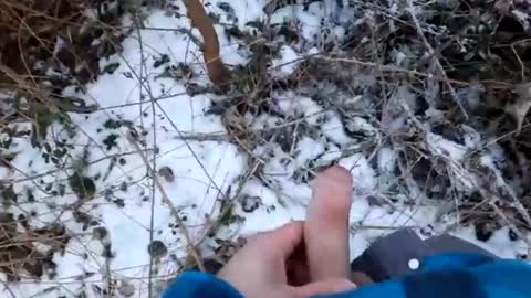 mcfly online show from February 19, 4:22 pm