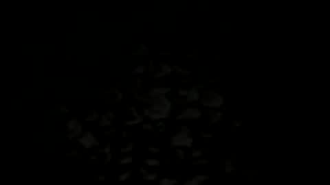 w2456 online show from November 25, 11:38 pm