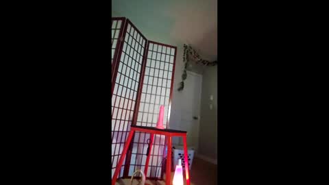 wabbitseason69 online show from February 12, 10:54 am