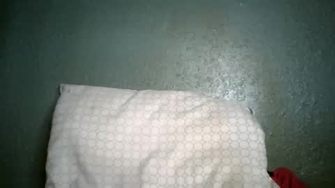 Champion Lover online show from January 7, 5:26 pm