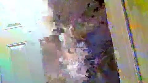 Snapshot of waltbkk chatting on December 9, 10:43 am Walter online show from December 9, 10:43 am