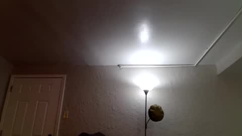 wantstoperform online show from November 23, 12:16 pm