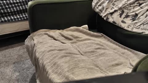 Snapshot of watcher950585 chatting on January 3, 9:57 pm Daddy online show from January 3, 9:57 pm