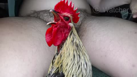 Snapshot of watcher_9 chatting on December 29, 1:34 am classified online show from December 29, 1:34 am