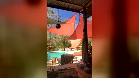 watershed111111 online show from March 23, 3:49 pm