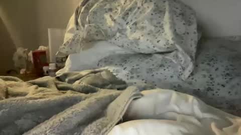 waveonce online show from March 29, 11:32 am