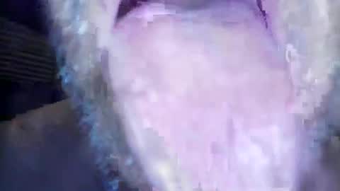 Snapshot of wayne1311 chatting on March 1, 7:21 am wayne1311 online show from March 1, 7:21 am