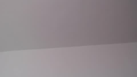Trixie 3 online show from August 1, 3:55 pm