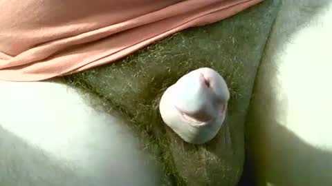 welshstuds online show from September 30, 11:59 am