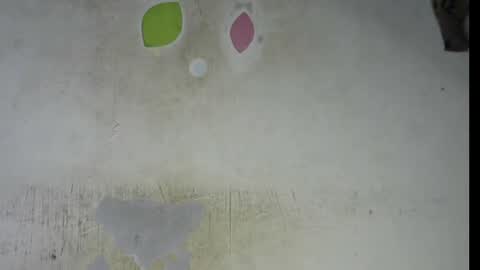 Bella online show from February 6, 9:29 pm