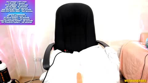 Snapshot of wethoneybee chatting on February 3, 2:03 am Mina online show from February 3, 2:03 am