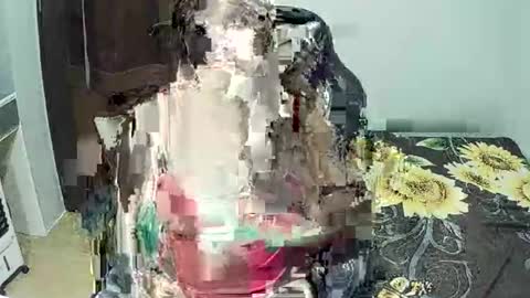 Lyns online show from February 15, 2:36 pm