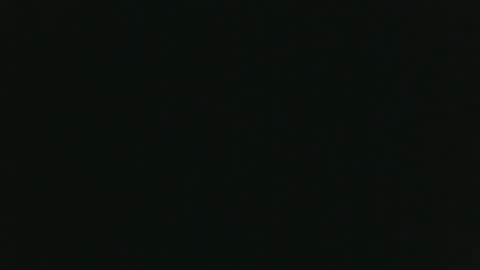 whitehead_lion online show from November 14, 6:17 pm