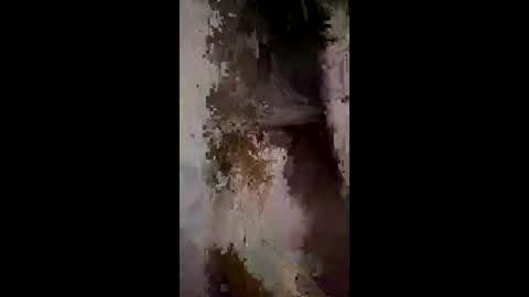 whitelava_4u online show from December 2, 3:01 am