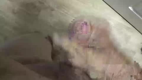 whitelava_4u online show from May 30, 3:53 pm