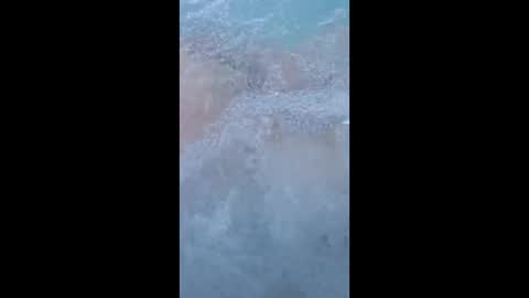 whiteoak19522 online show from March 29, 11:32 am