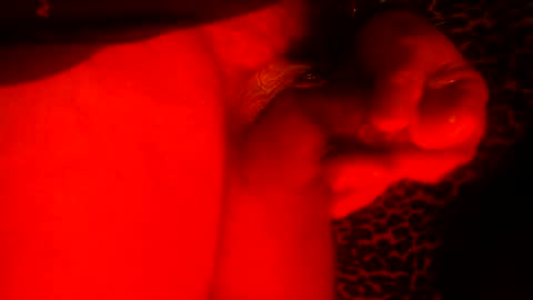 whor4mor online show from January 9, 11:25 am