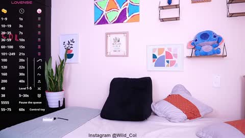 wild_col online show from January 15, 10:49 am