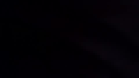 wildara online show from December 2, 11:11 pm