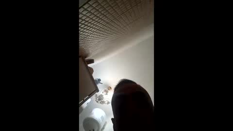 Snapshot of wilddope chatting on March 8, 2:04 am the alpha man online show from March 8, 2:04 am