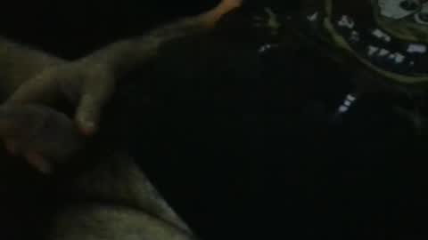 WildeAlex online show from September 28, 11:21 pm