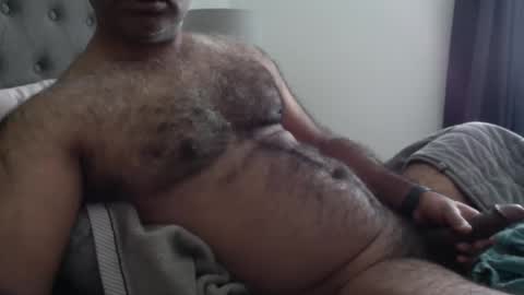 wildhungry online show from November 17, 5:52 pm