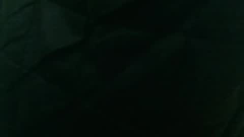 Snapshot of wildinwest chatting on February 9, 7:34 am wildinwest online show from February 9, 7:34 am