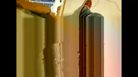 wildman2900 online show from December 29, 3:24 pm