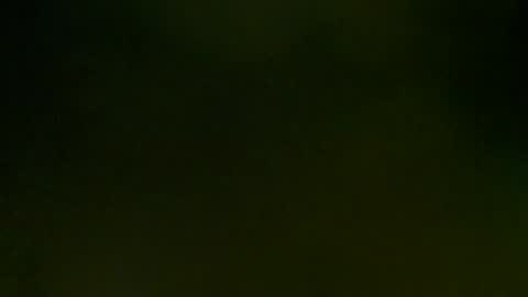 Snapshot of wildpersia chatting on March 8, 9:08 pm WildPersia online show from March 8, 9:08 pm