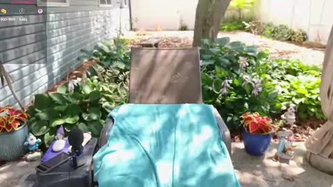 Ivy online show from August 6, 4:31 pm
