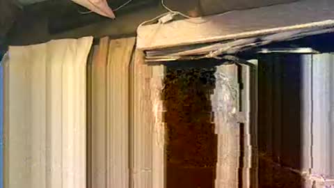 Snapshot of willielowrider chatting on March 29, 1:44 pm willielowrider online show from March 29, 1:44 pm