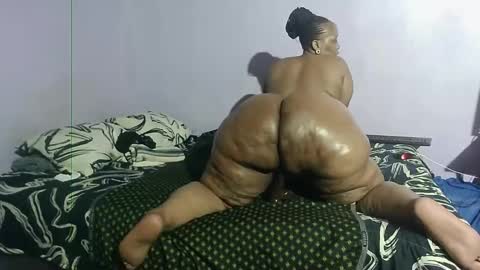 wilmaassylum online show from January 24, 3:13 pm