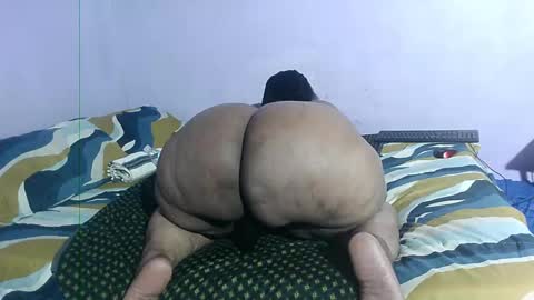 wilmaassylum online show from February 5, 8:21 am