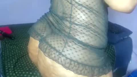 wilmaassylum online show from November 10, 4:22 am