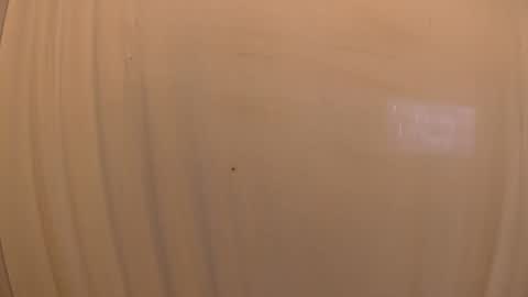 Mater online show from October 19, 3:34 pm