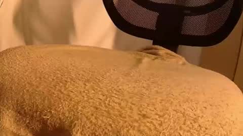 Snapshot of withbothhandsplease chatting on November 14, 5:44 pm Mater online show from November 14, 5:44 pm