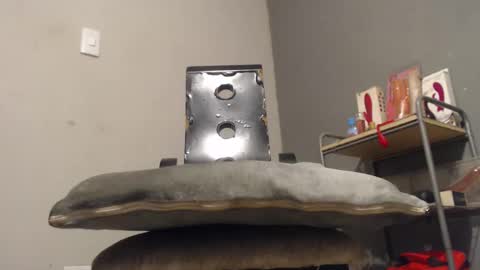 SHENIEL RODRIGUEZ online show from December 2, 11:00 pm