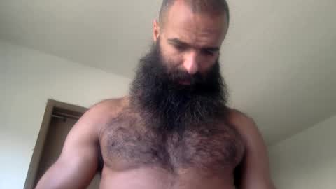 woof_wolf37 online show from May 19, 3:40 pm